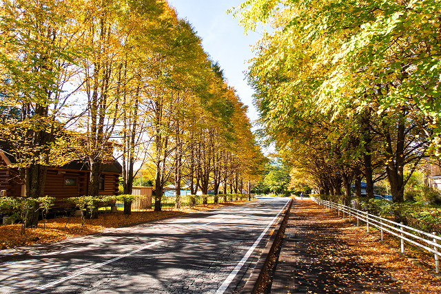 Mikasa Street (Formerly Mikasa Hotel Street), Karuizawa