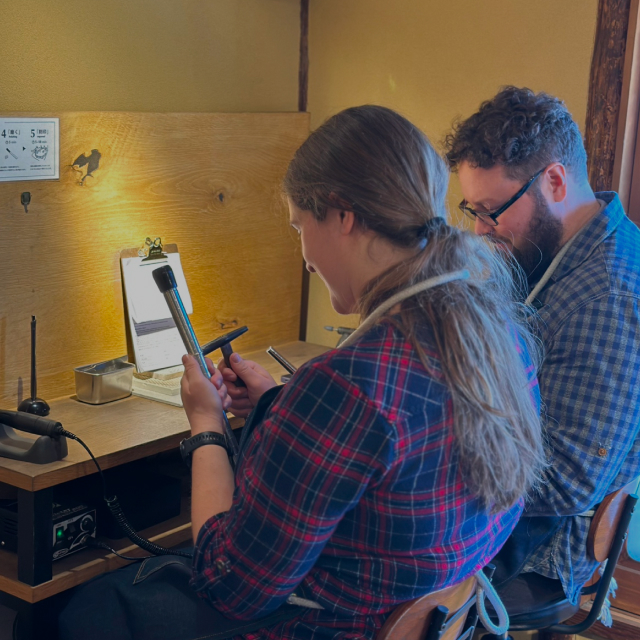 Experience Japan Ring Making in Japan